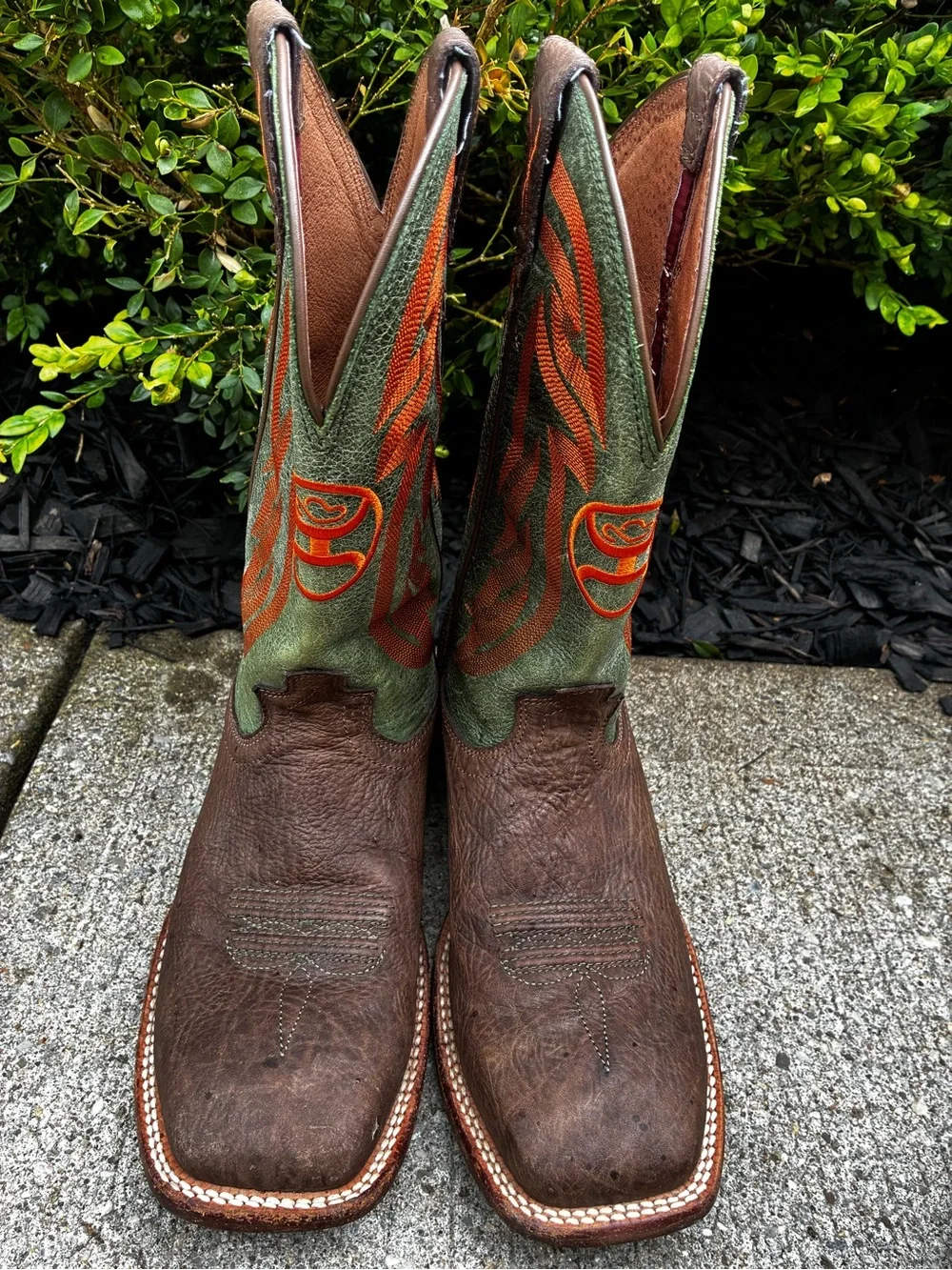 Hooey Twisted X boots
